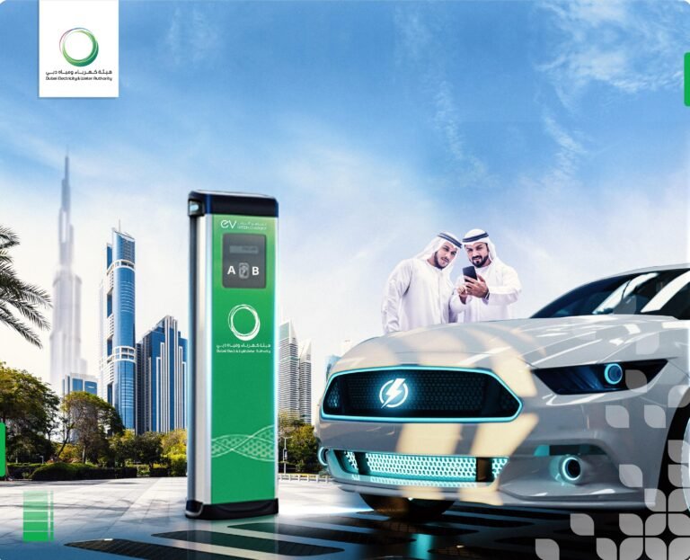 الإمارات تكشف النقاب عن السياسة الوطنية للمركبات الكهربائية