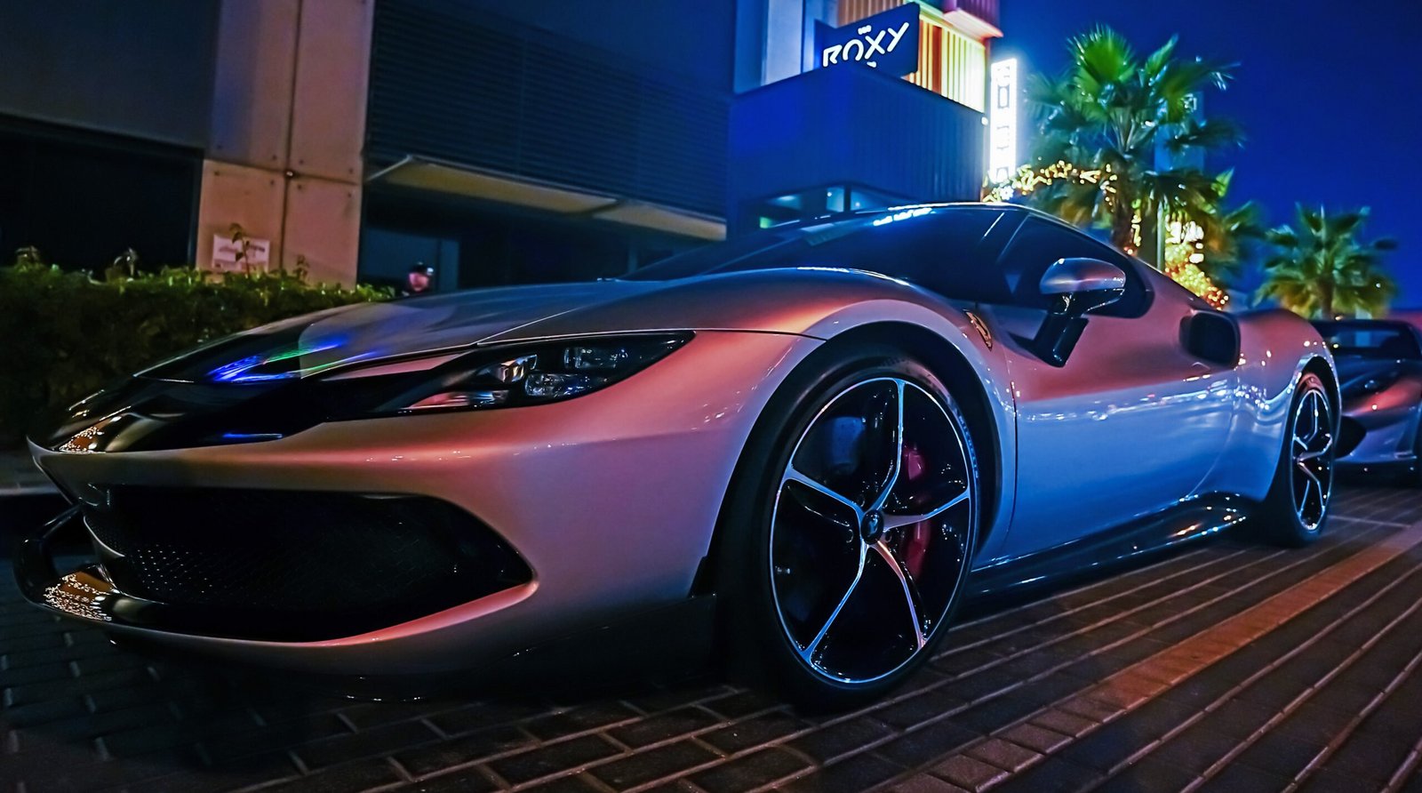 روكسي سينما تعرض لضيوفها مجموعة مختارة من الأفلام