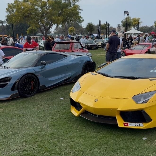 ذا جراند بيكنيك تنظيم فلات ١٢ اكبر تجمع سيارات .