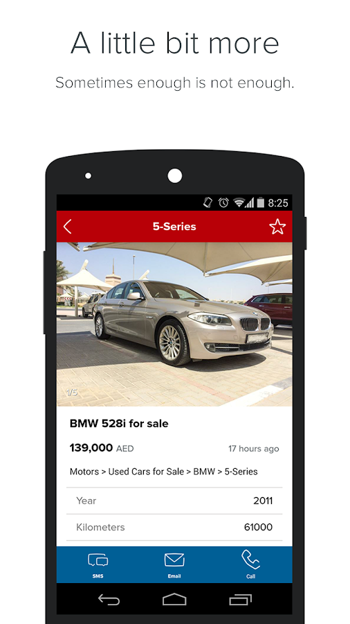 Dubizzle: Shaping the Classifieds Market in the UAE and the Gulf