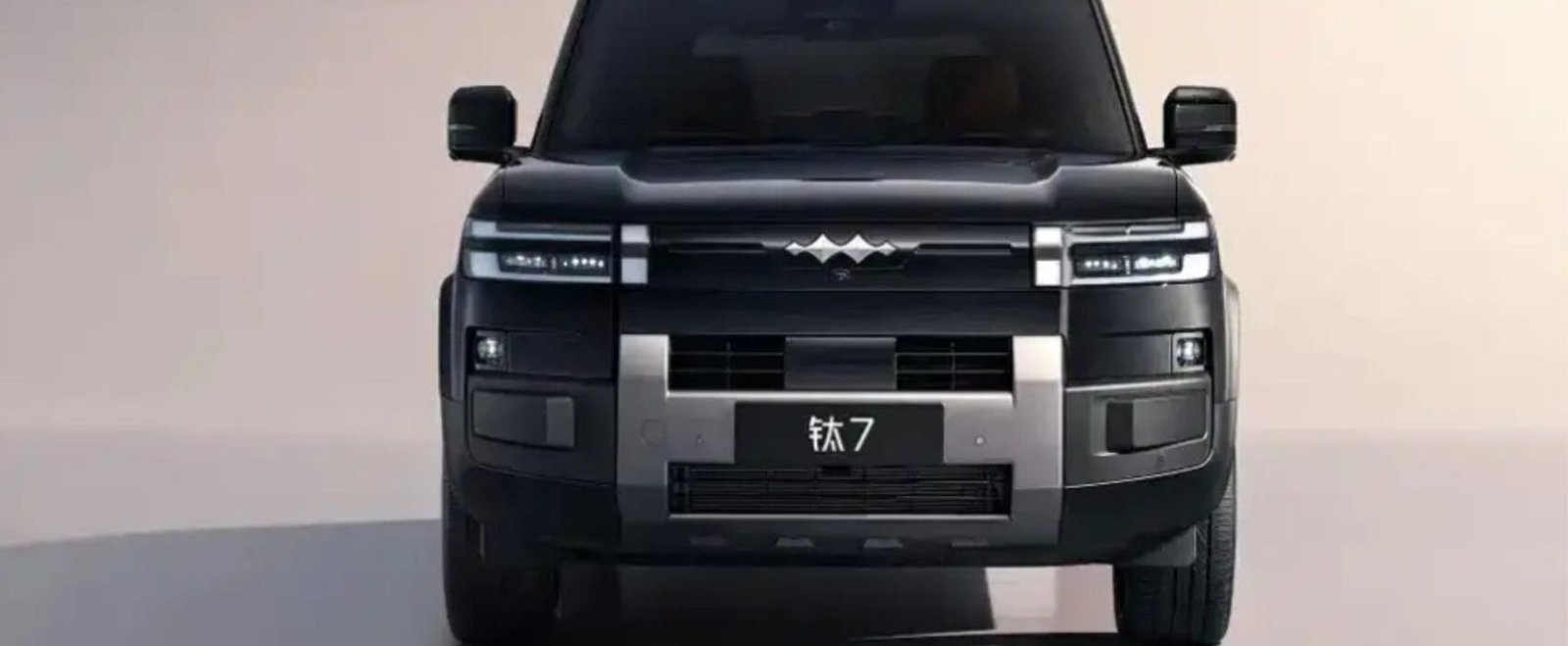 BYD Ti7